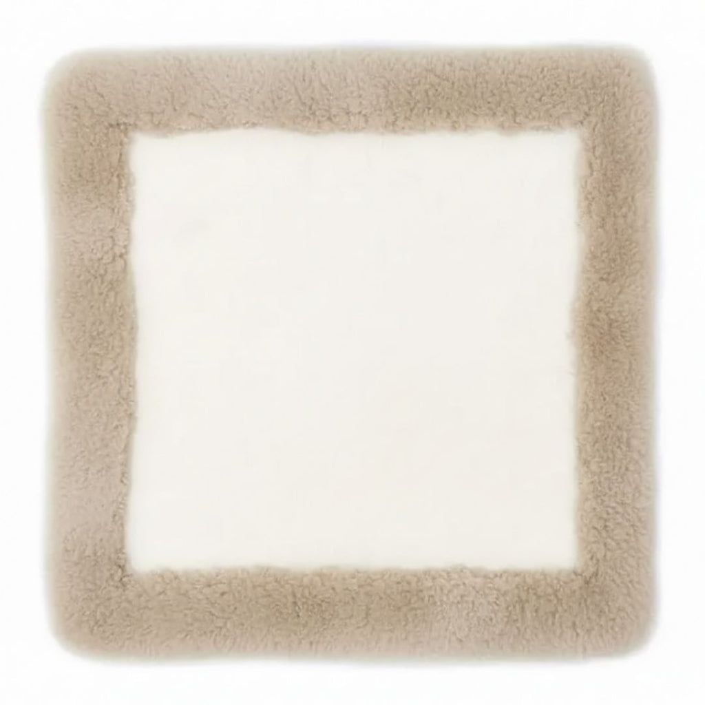 Australian Wool Cushion All Seasons 42x42cm